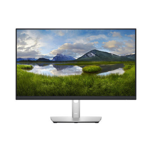 DELL P Series 24 Monitor - P2422H