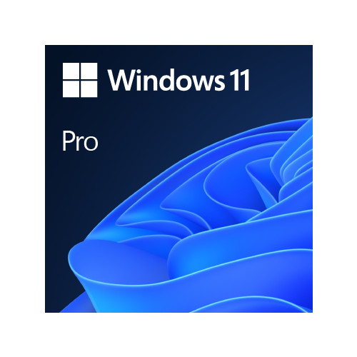 Microsoft Windows 11 Pro OEM