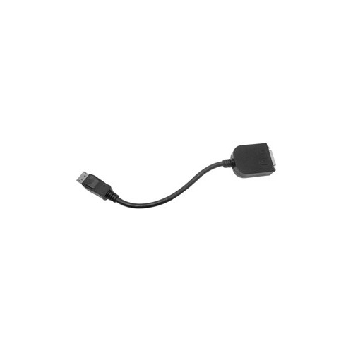 Siig CB-DP0072-S1 video cable adapter 0.24 m DisplayPort DVI-D Black